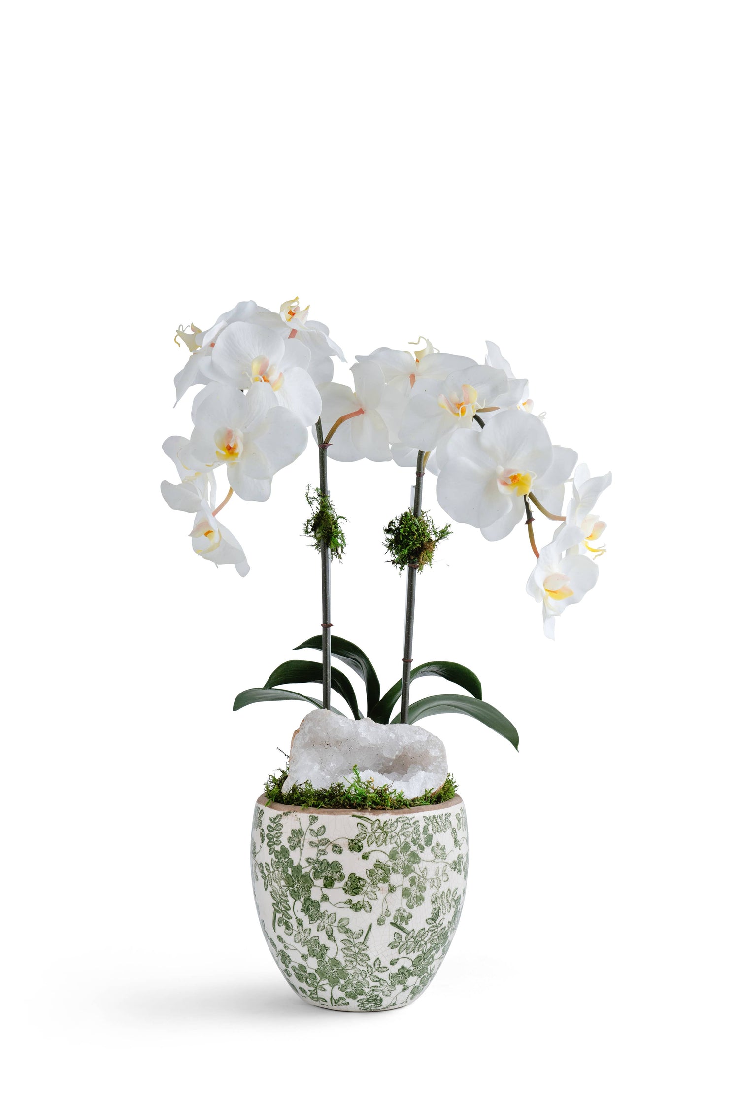 Double White Orchid in Green and White Floral Ceramic with Geode Accent