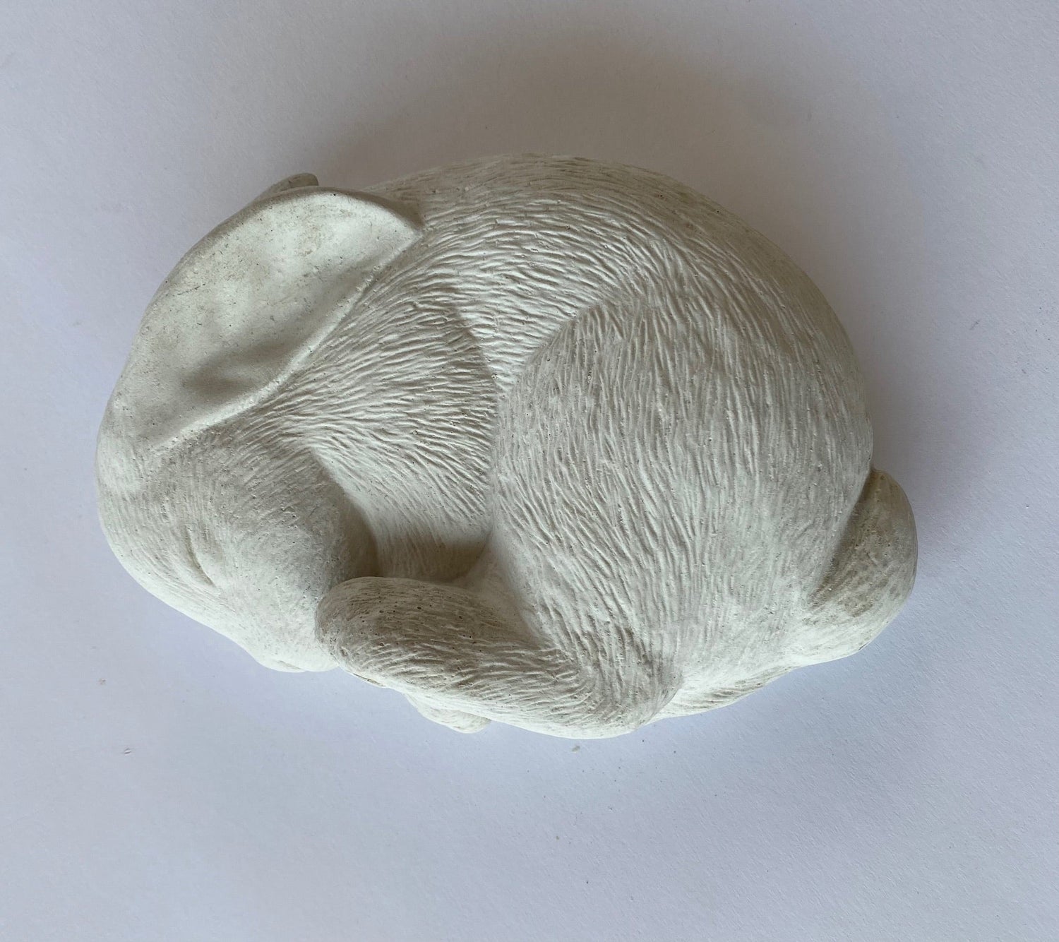 Sleeping Bunny