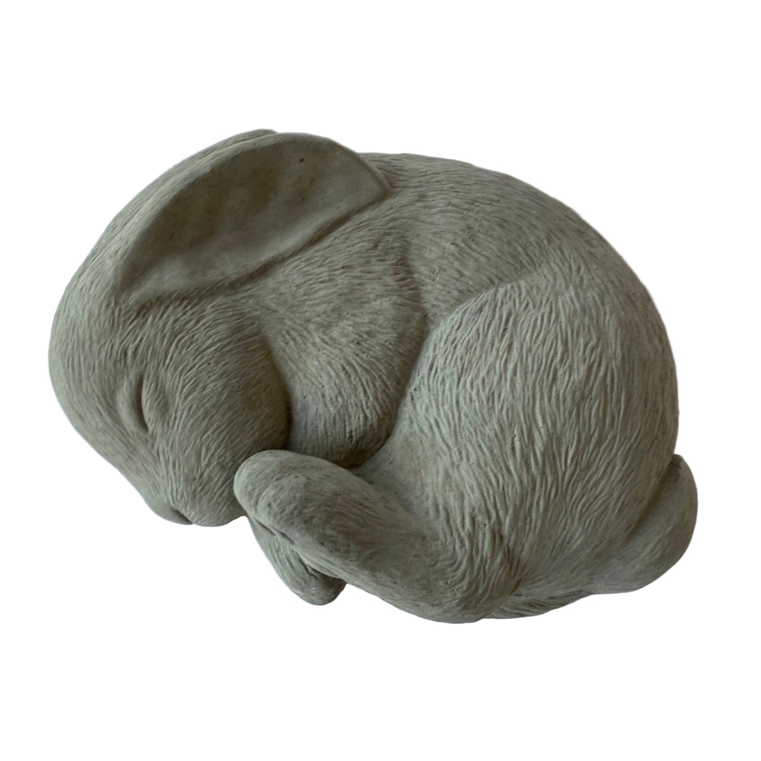 Sleeping Bunny