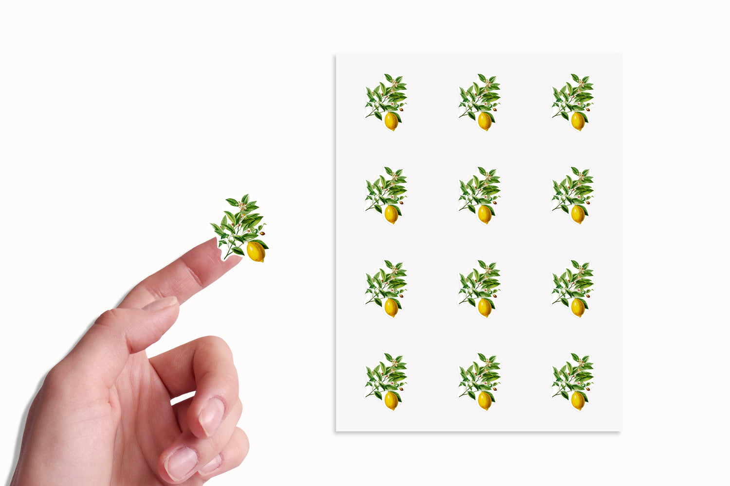 Lemon Stickers