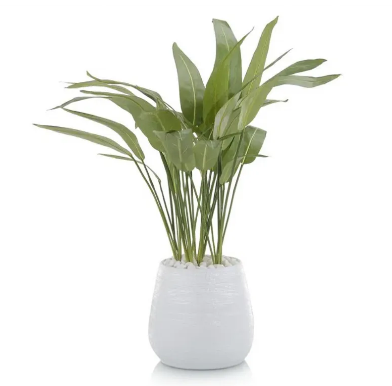 Water Pickerel Bird-of-Paradise Arrangement in White Urn