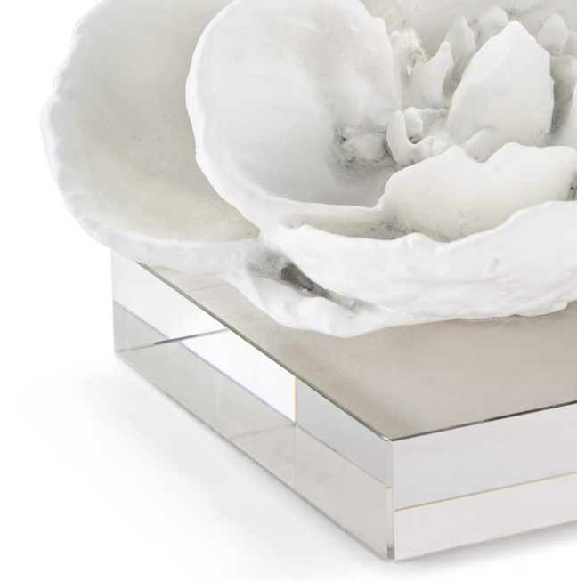 Magnolia Bloom on Crystal Base