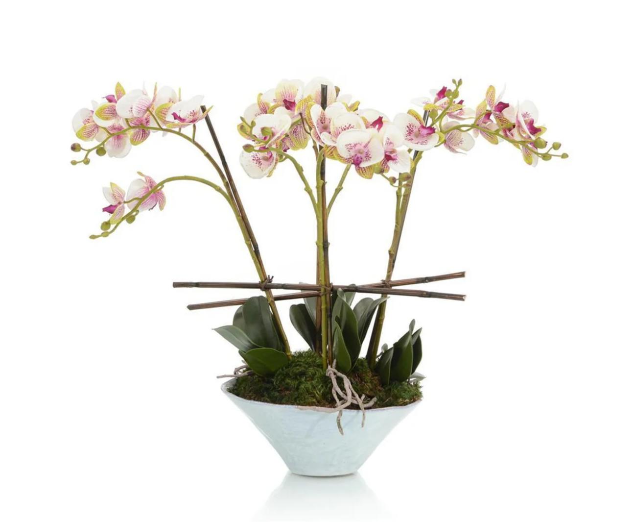 Serene Bloom Orchid Arrangement