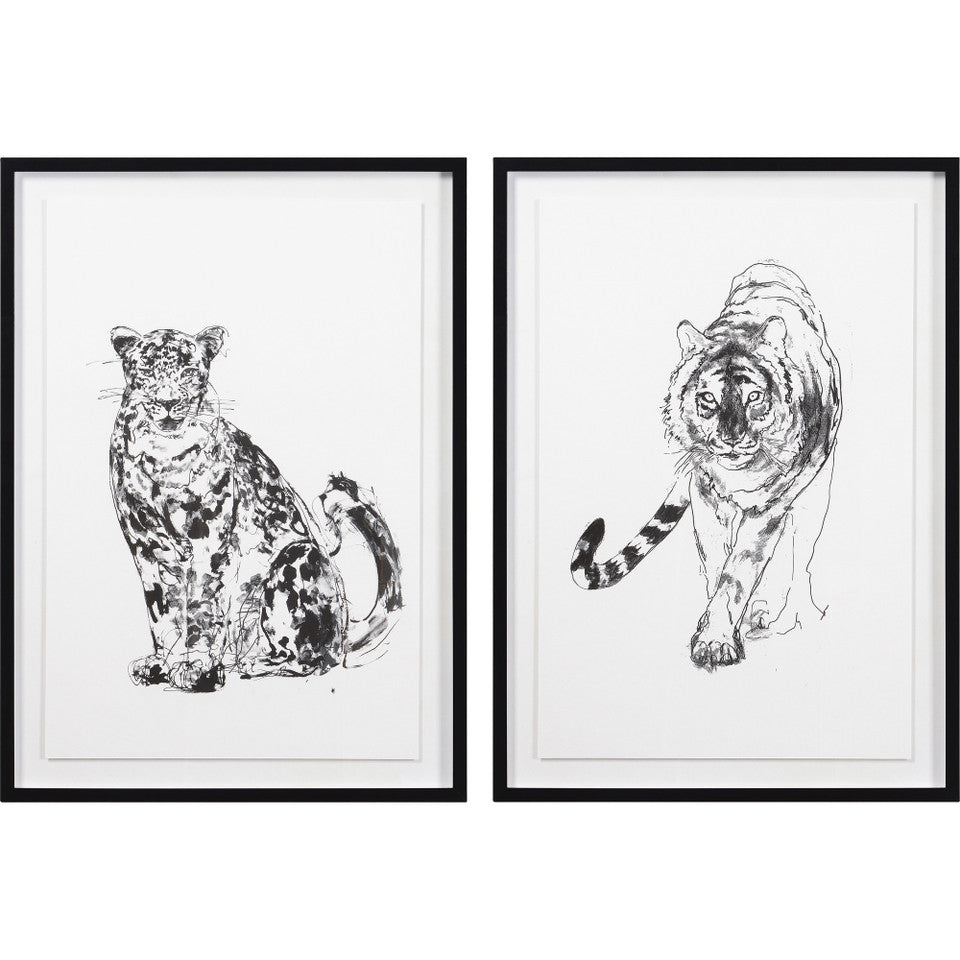 Pair of Wild Cat Art Prints in Black Frame