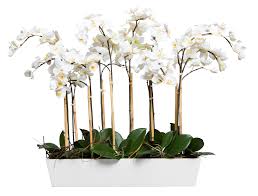 Faux White Phalaenopsis Orchid in White Rectangular Pot