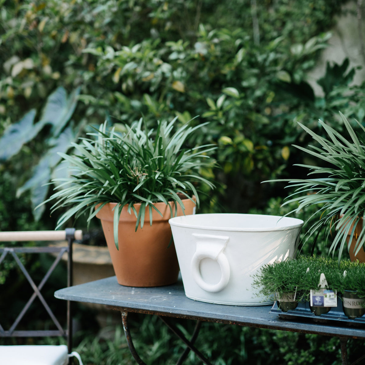 Etruscan Planter (2 Colors)