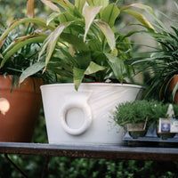 Etruscan Planter (2 Colors)