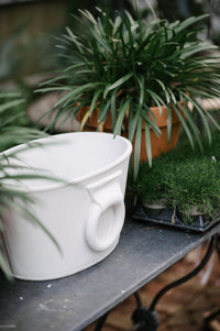 Etruscan Planter (2 Colors)