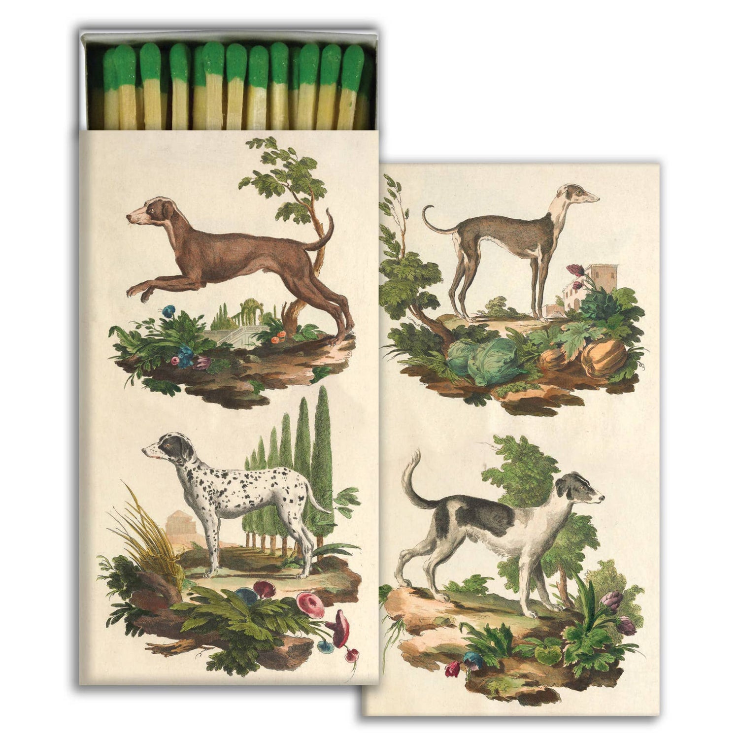 Matches - Italian Dogs 50ct