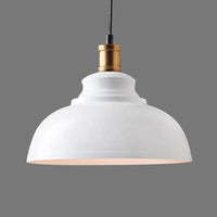 Aaliyah - Adjustable Industrial Dome Pendant Light (3 Colors)
