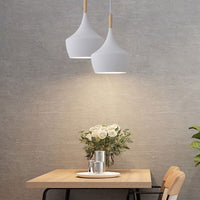 Macaron Geometric Pendant Light Modern Metal Fixture (Various Color and Styles)