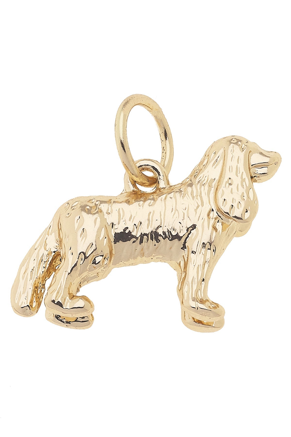 King Charles Cavalier Dog Charm in Shiny Gold