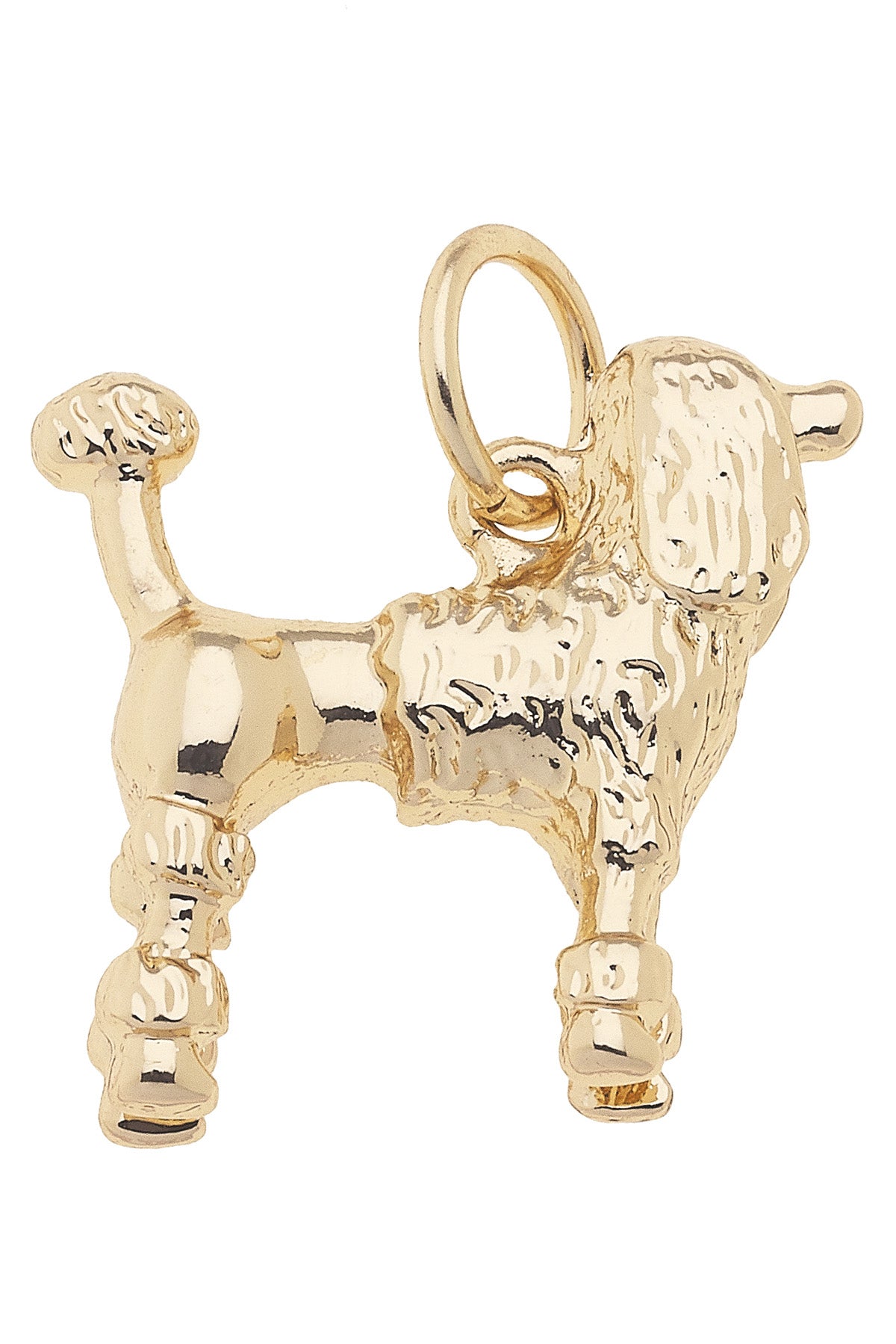 Standard Poodle Dog Charm in Shiny Gold
