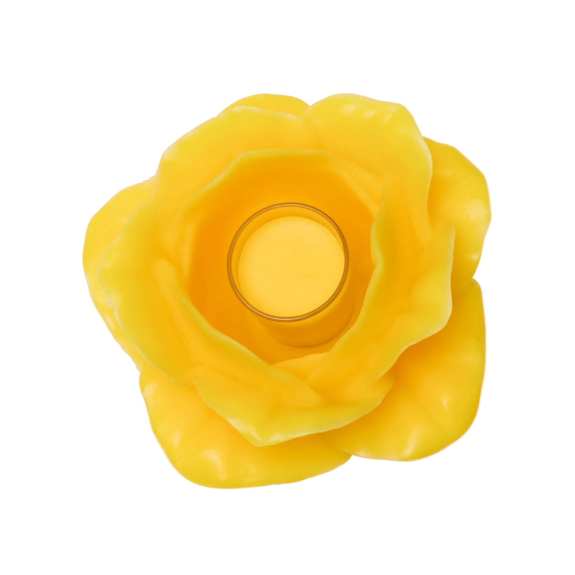 Rose Candle, Canary