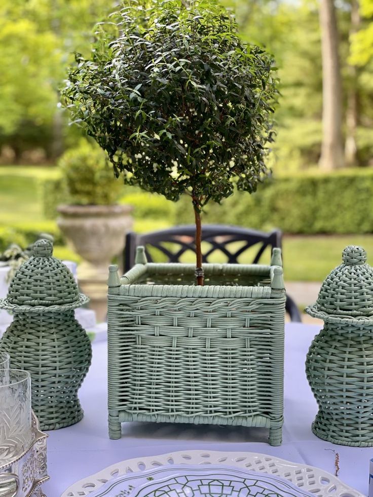 Spring Green Wicker Jar (3 Sizes)