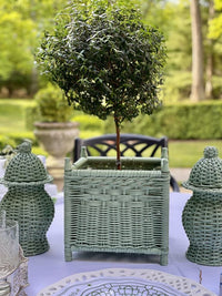 Spring Green Wicker Jar (3 Sizes)