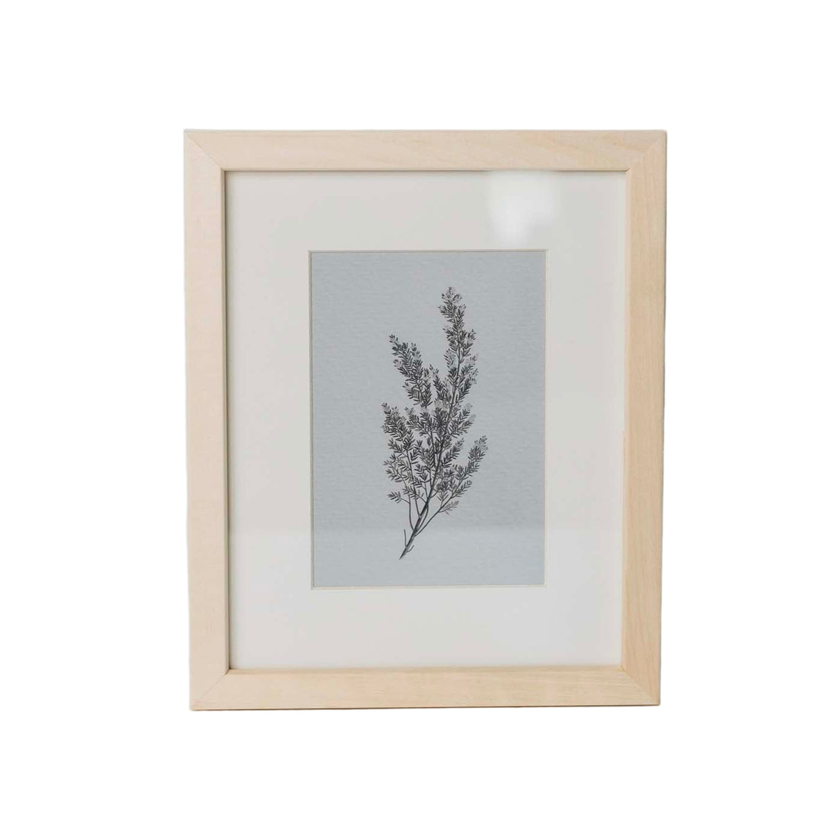 Fauna Small Wall Art