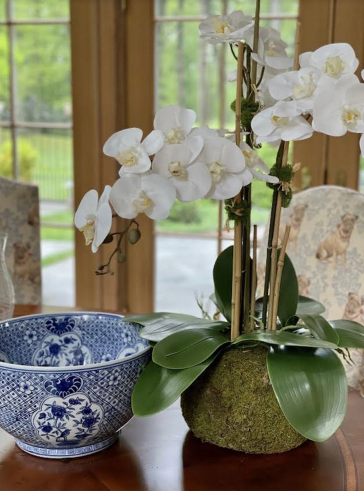Trellis Bowl