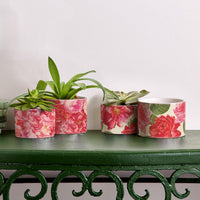 Rose Marie Floral Cachepots