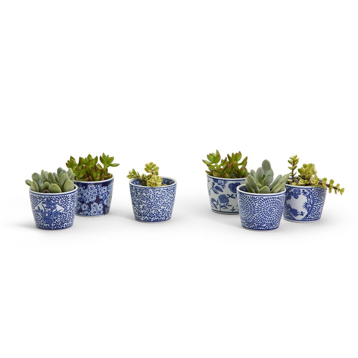 Mini Chinoiserie Cachepots (Various Prints)