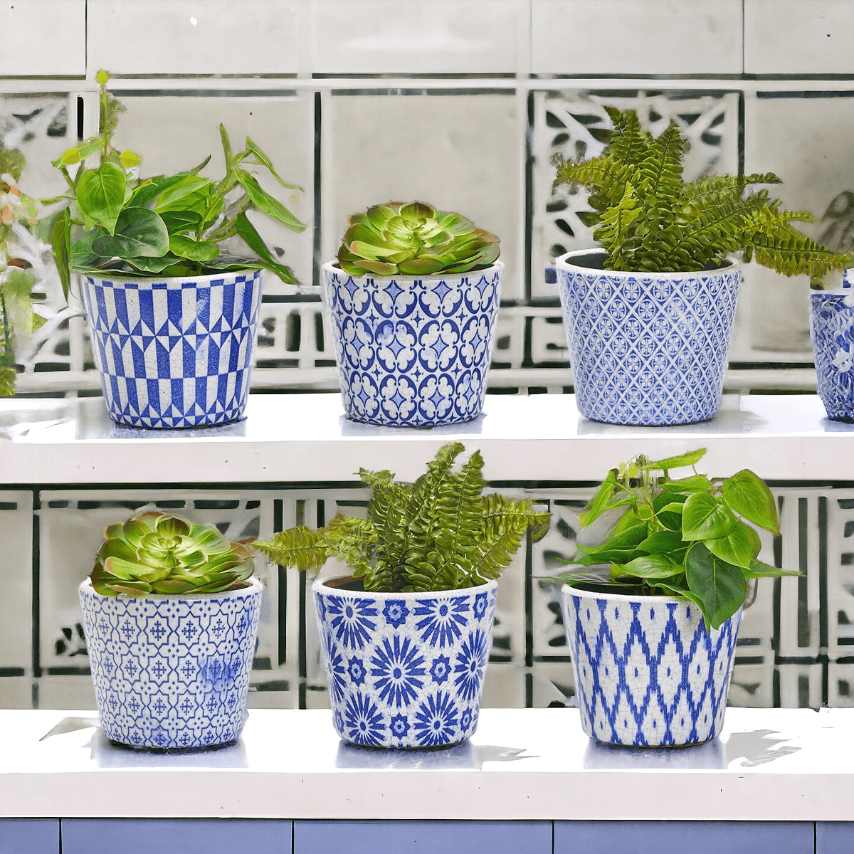 Terracotta Pot 5.5" (Various Prints)