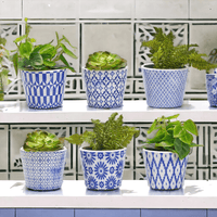 Terracotta Pot 5.5" (Various Prints)