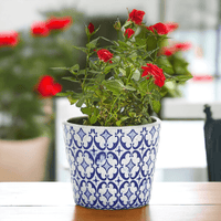 Terracotta Pot 5.5" (Various Prints)