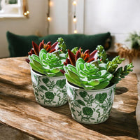 Mini Green Cachepots (Various Prints)