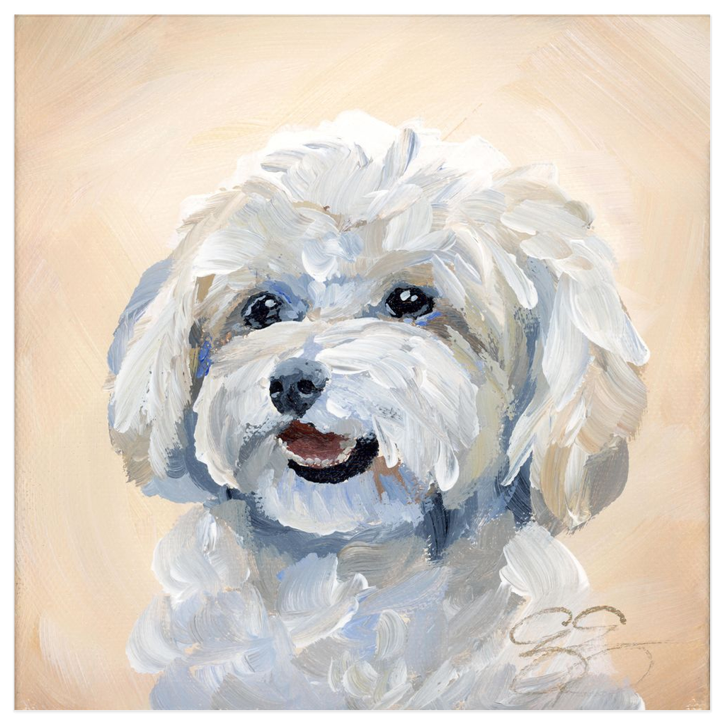 Maltese / Maltipoo – Fine Art Dog Print on Paper (Various Sizes