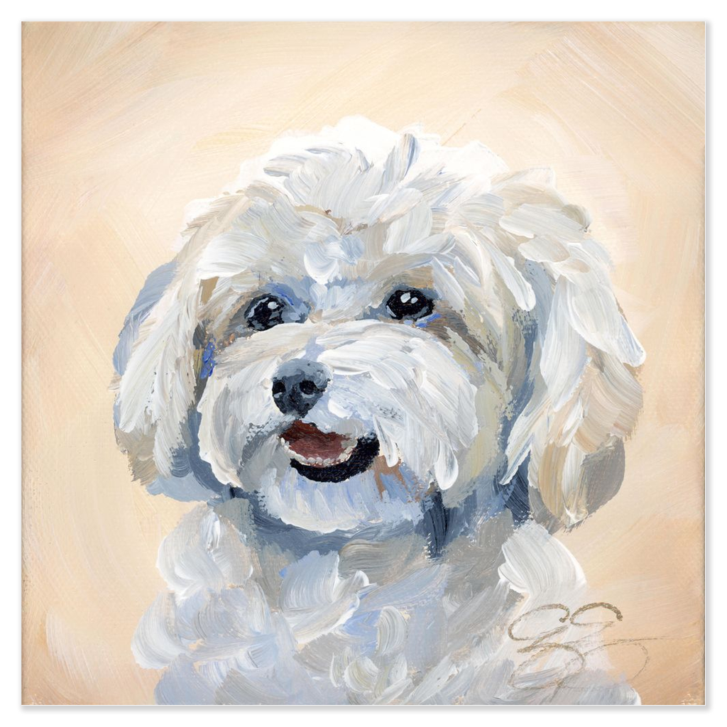 Maltese / Maltipoo – Fine Art Dog Print on Paper (Various Sizes