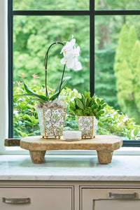 Elsie’s Garden Enameled Square Cachepot Planter – 6"