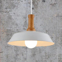 Ava's Versatile Retro Pendant Light (Various Colors)