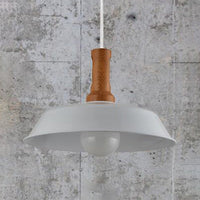 Ava's Versatile Retro Pendant Light (Various Colors)