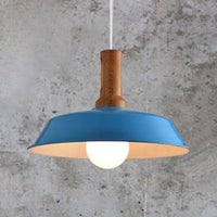 Ava's Versatile Retro Pendant Light (Various Colors)