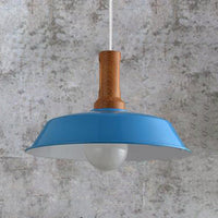 Ava's Versatile Retro Pendant Light (Various Colors)
