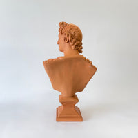 Bust of Apollo