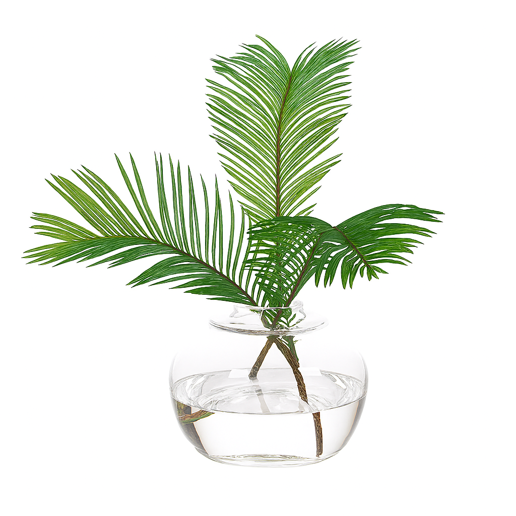Palm Fern in Glass Bulb Vase - 11"