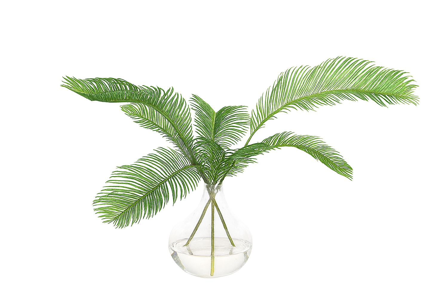 Palm Fern in Glass Bulb Vase - 15"