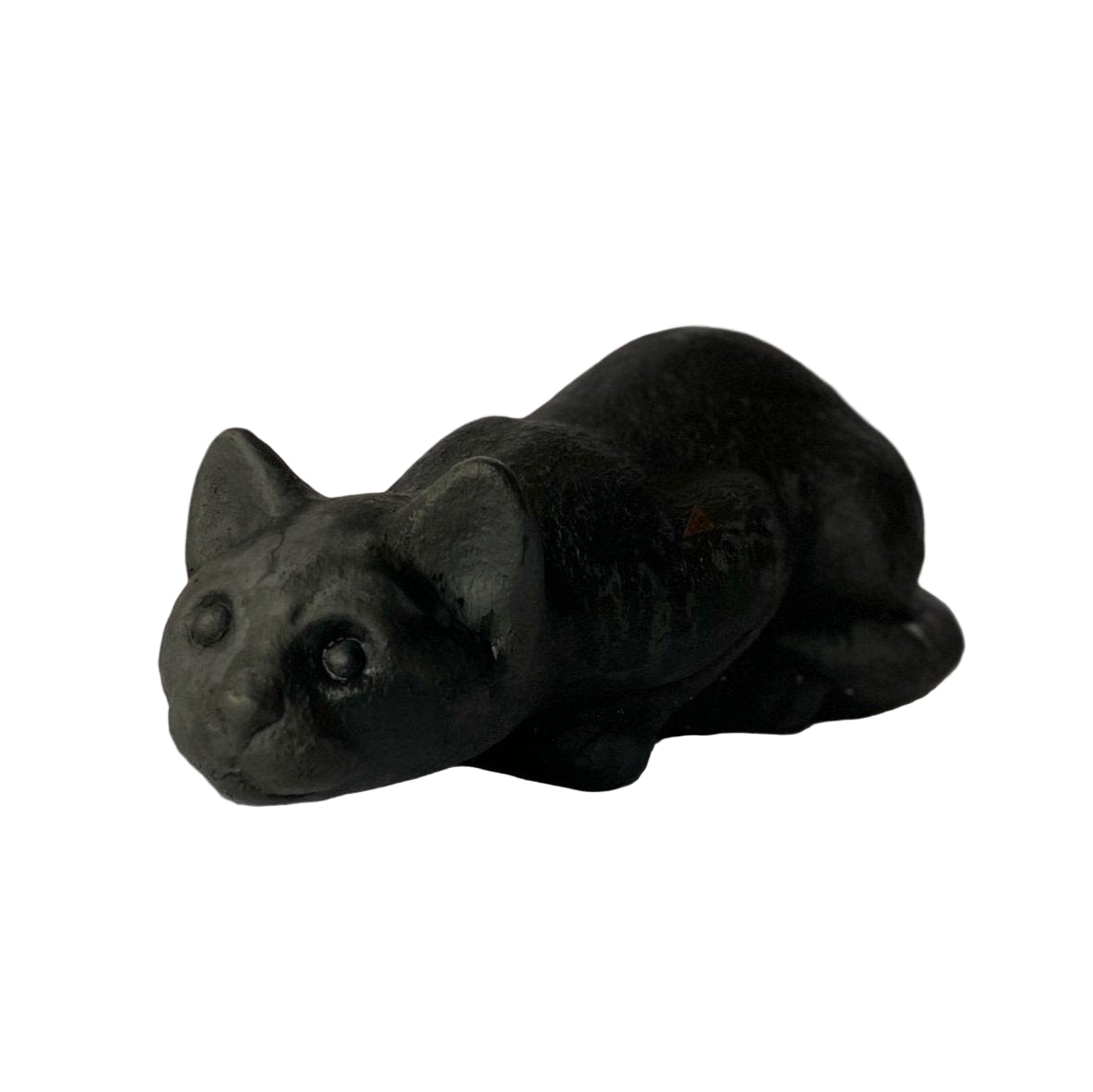 Crouching Cat