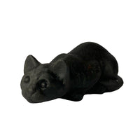 Crouching Cat