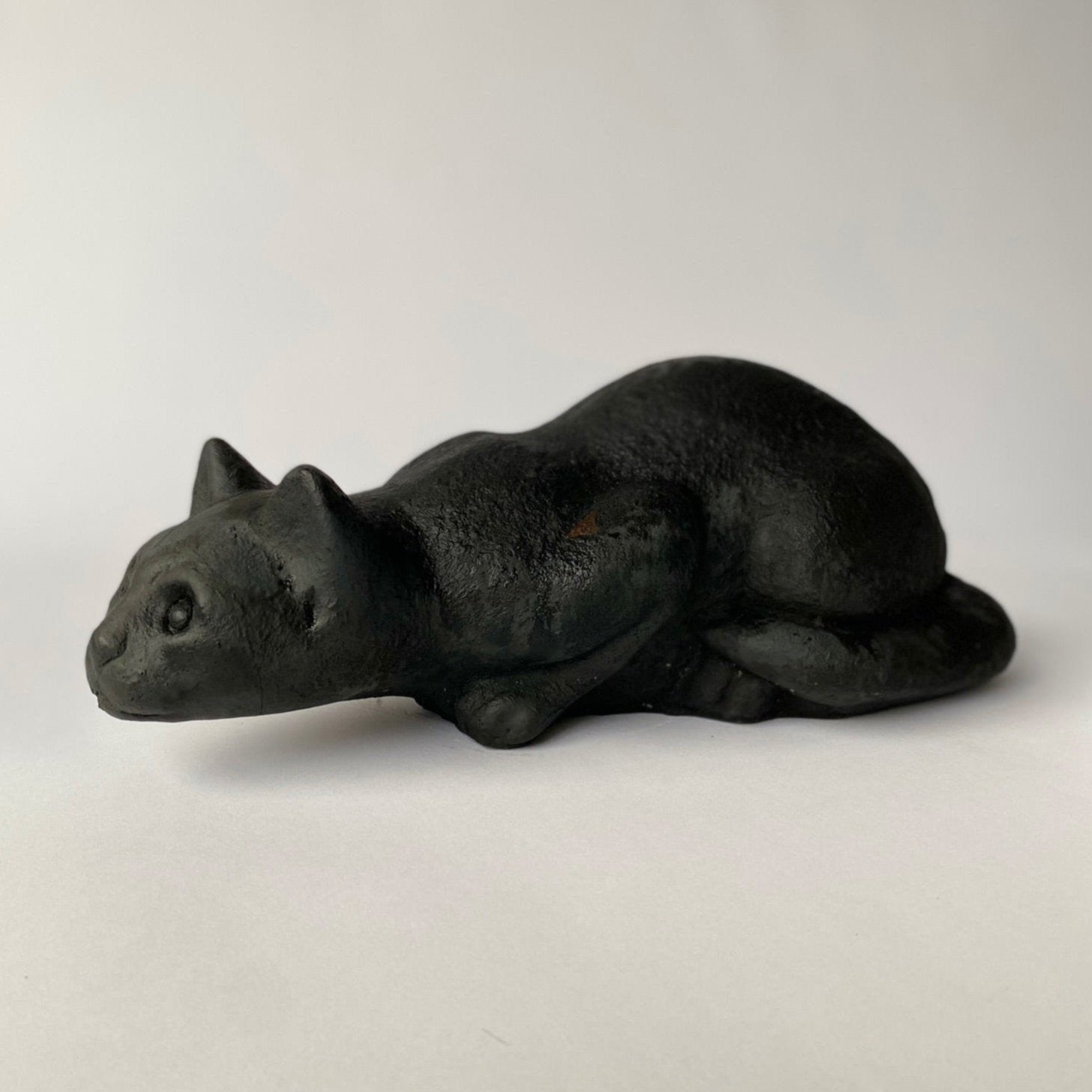 Crouching Cat