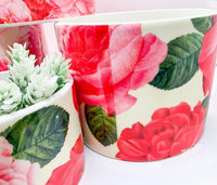 Rose Marie Floral Cachepots