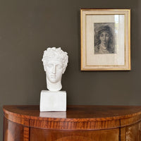 Perseus Bust (2 Colors)