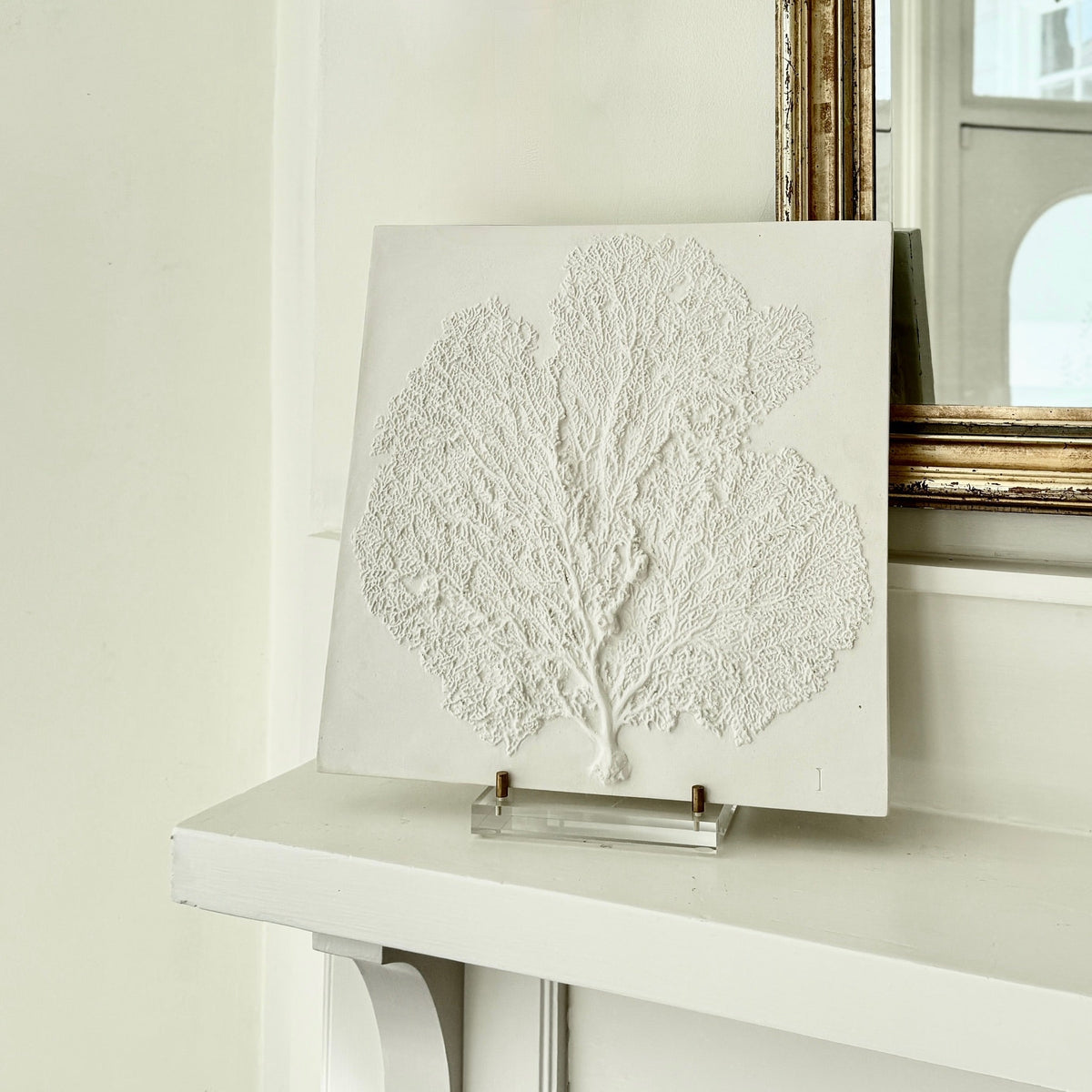 Sea Fan I