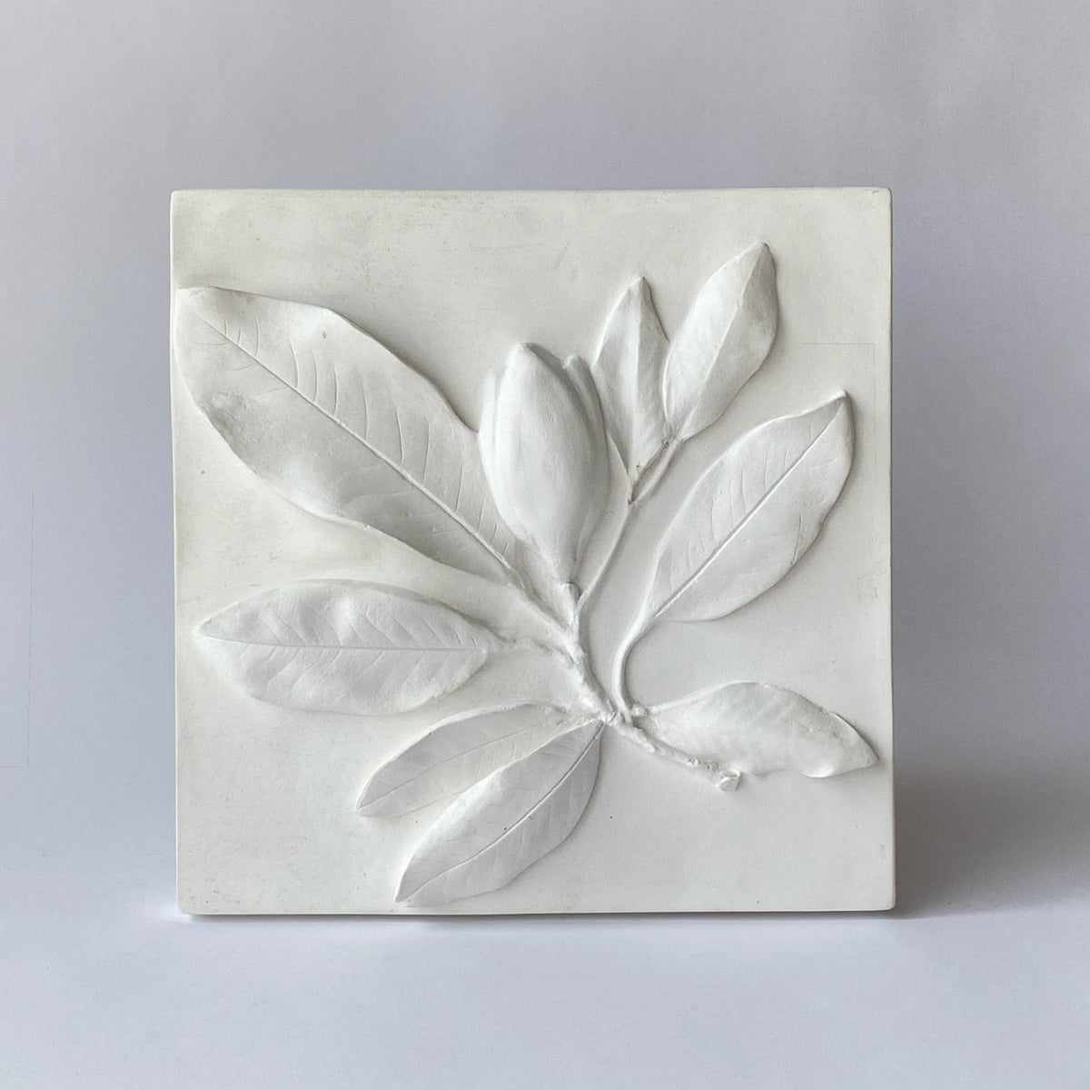 Magnolia Leaves with Bud