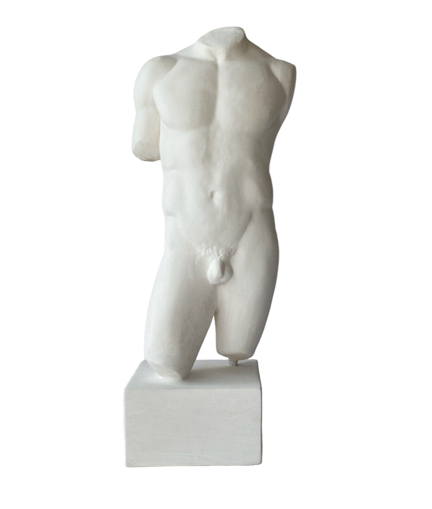 Male Torso