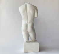 Male Torso