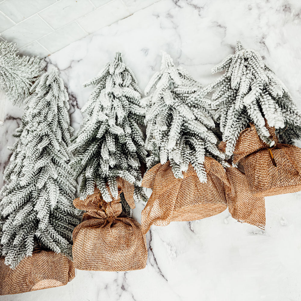 Snow Christmas Trees