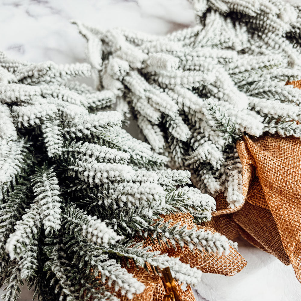 Snow Christmas Trees