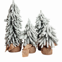 Snow Christmas Trees